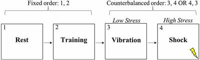 Intra-Individual Variability in Vagal Control Is Associated With Response Inhibition Under Stress